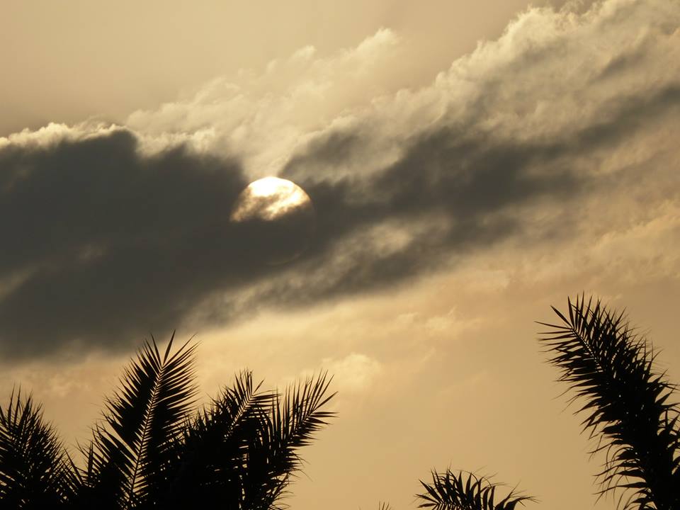 1175074_791115407602591_1605386436_n